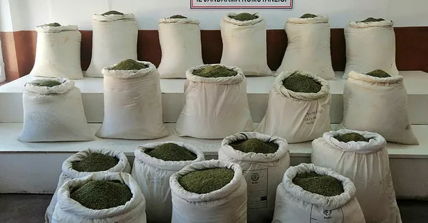 Diyarbakır'da zehir tacirlerine dev operasyon! 648 kilo esrar ele geçirildi