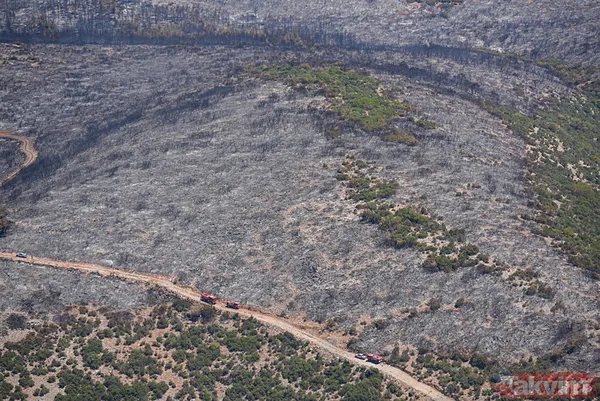 Bir izmaritin bedeli 50 hektarlık alan oldu! İşte İzmir'deki yangın faciasının çıkış anı - 6
