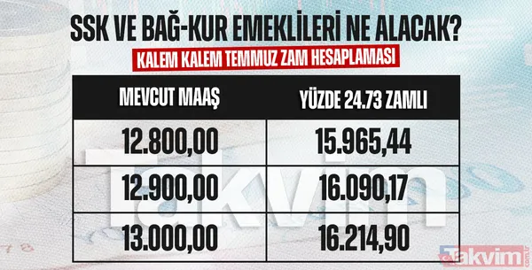 EMEKLİLERİN MAAŞ ZAMMI BELLİ OLDU| SSK ve Bağ-Kurlulara zam hesaplama! En düşük emekli maaşı ne kadar 2024? - 19