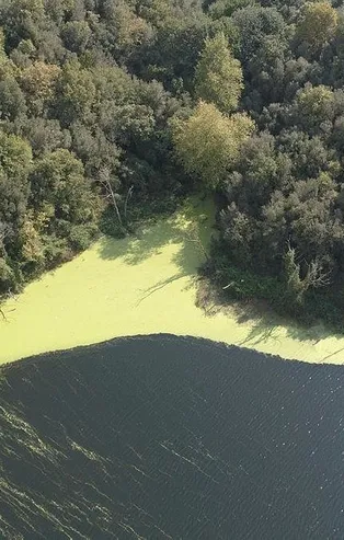 İstanbul'da korkutan görüntü! Elmalı Barajı'nın suyu yine yeşile döndü