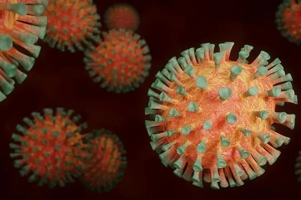 Dünyayı şoke eden açıklama! Çinli bilim insanları 24 farklı koronavirüs türü tespit etti-4