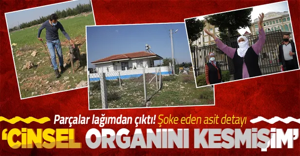 SON DAKİKA: Parçaları foseptik çukurunda bulunan ceset! 'Cinsel organını kesmişim asitle eritmek istedim'