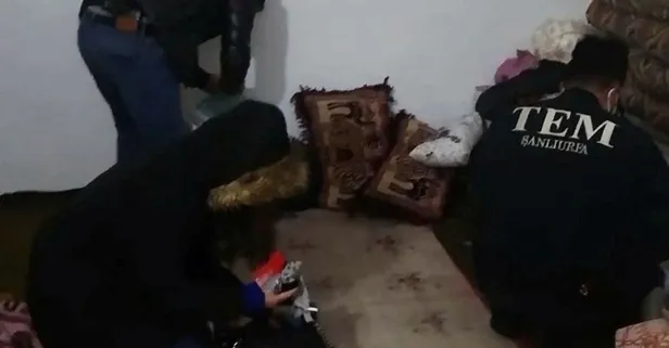 Terör örgütü PKK'ya operasyon: 14 gözaltı