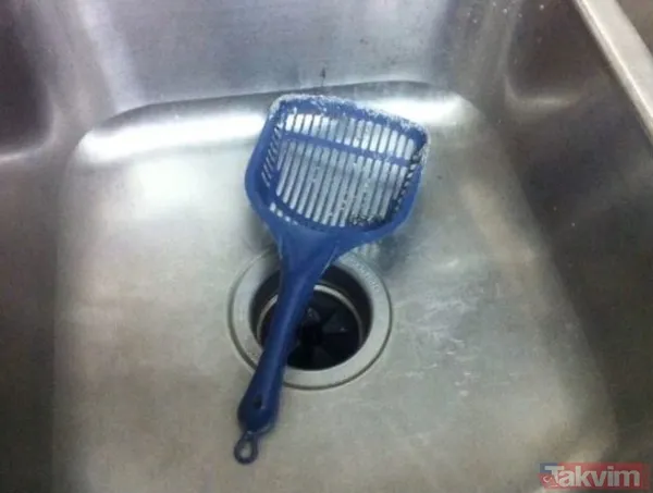 'Bu kadar da olmaz' dedirten iğrenç görüntüler! Mide bulandıran görüntüler - 7