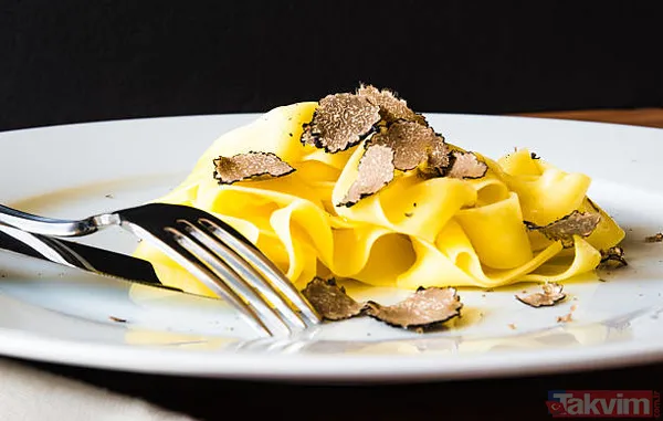 Köpekler buluyor! KİLOSU 72 BİN TL! Siz de toplayıp para kazanabilirsiniz! Türkiye'de 225 kilo bulunuyor! - 10