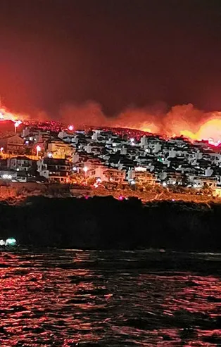 Son dakika: İzmir'de makilik alanda yangın!