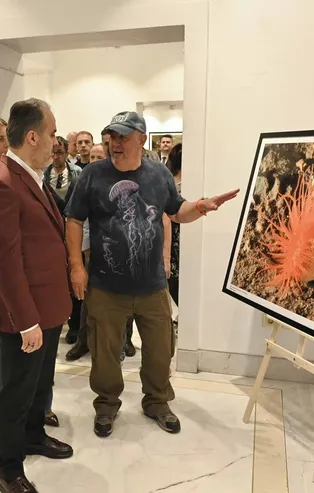 Marmara Denizi’nde hayat var