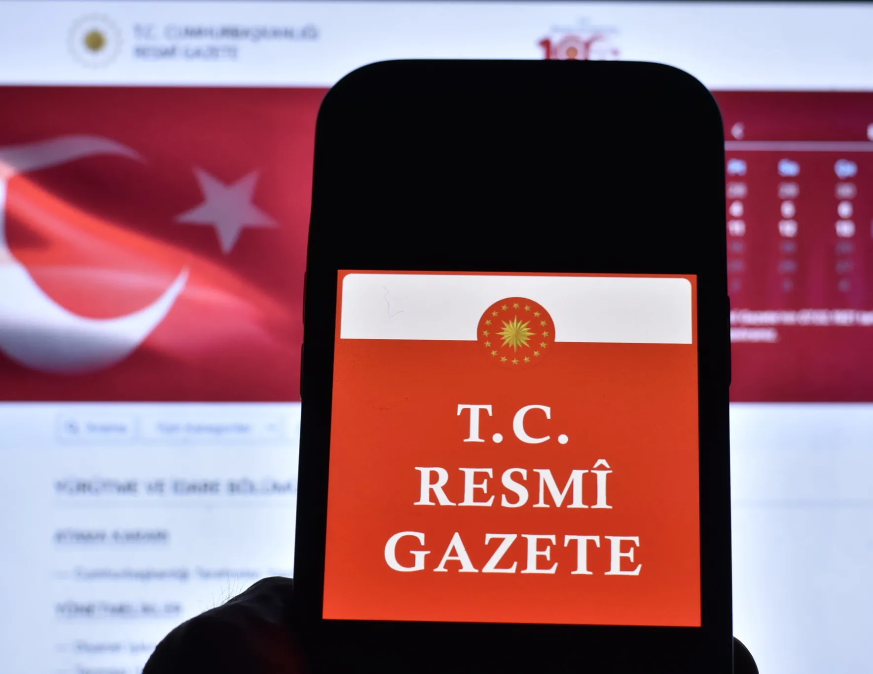23 ilde orman sınırları yeniden çizildi | İki katı yeni alan tahsis edilecek