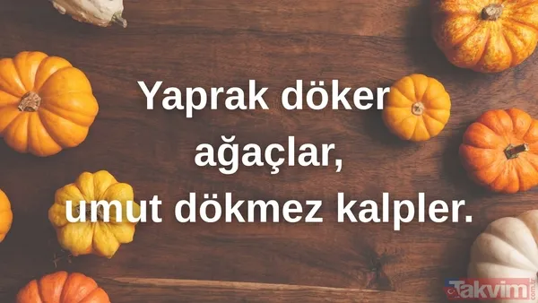 🔸Yaprak Döker Ağaçlar, Umut Dökmez Kalpler.