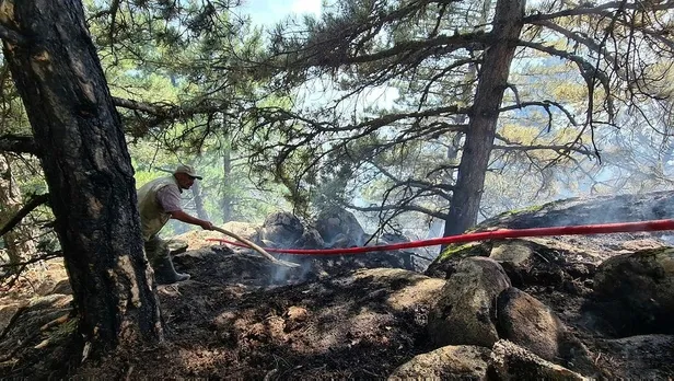 son-dakika-kutahya-emetteki-orman-yangini-kontrol-altina-alindi-1627582968223.jpeg Son dakika: Kütahya Emet'teki orman yangını kontrol altına alındı-3