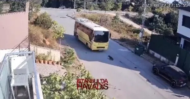 Bu nasıl canilik! Yerde yatan köpeği ezip kaçtı... Başrolde skandallarla gündemden düşmeyen İETT