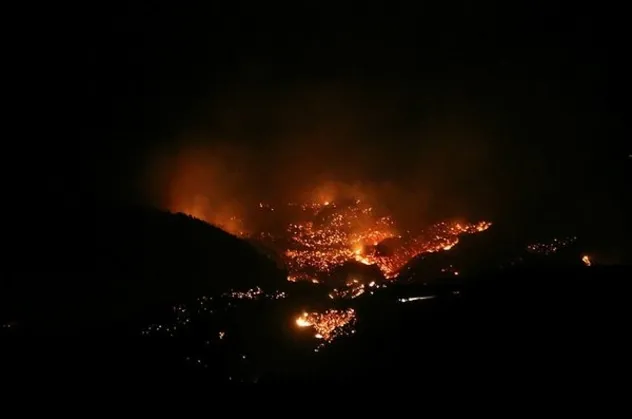 Hatay'daki yangınla ilgili çarpıcı detay! Yangın çıkarma talimatı örgüt paçavrasından mı verildi?