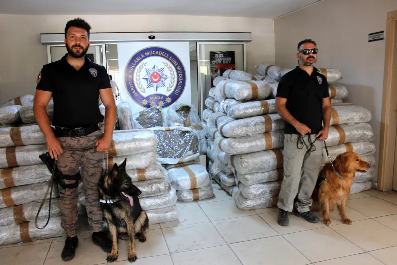 Milas'ta uyuşturucu şebekesine operasyon: 1,5 ton Skunk ele geçirildi - 6
