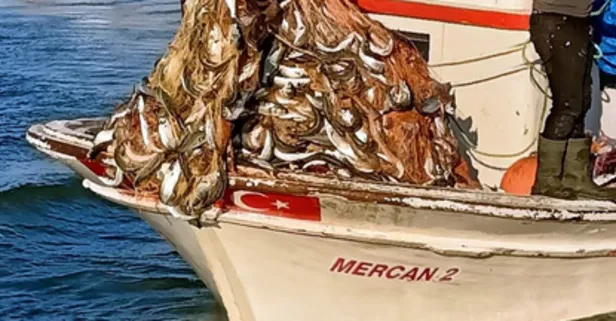 Lüfer sezonu bereketli geçiyor! Bir balıkçı Çanakkale Boğazı'ndan 15 bin lüferle döndü