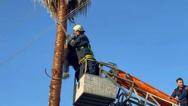 agac-tepesinde-oldu-budamak-icin-ozel-aparatla-cikti-rahatsizlaninca-yardim-gelmedi-1650959432941.jpg Ağaç tepesinde öldü! Budamak için özel aparatla çıktı rahatsızlanınca yardım gelmedi-6
