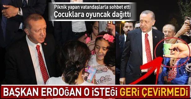 Başkan Erdoğan, piknik yapan vatandaşlarla sohbet etti