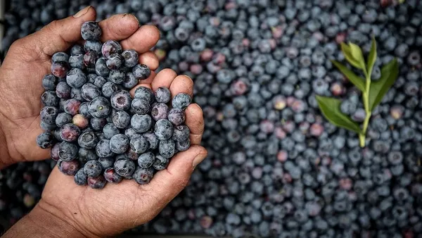 Telefon ya da bilgisayarlar boyunda fıtık oluşmasına neden olabiliyor (Sağlık haberleri)-4
