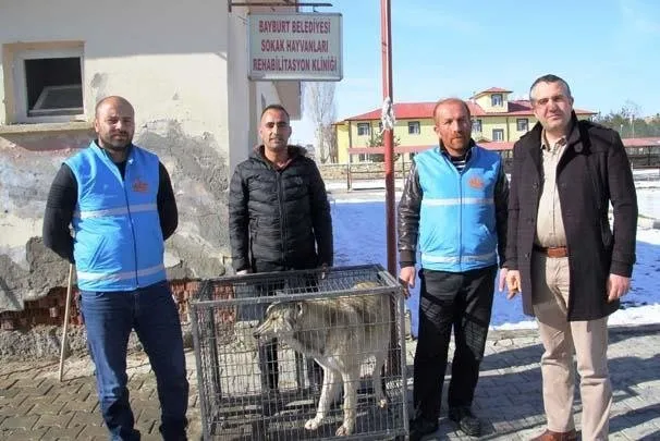 takvim gazetesi