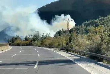 Mersin’de orman yangını!