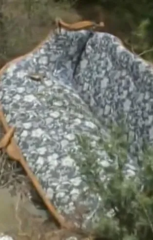 İzmir Çeşme'de çevre katliamı! Ormanlık alanda yürek sızlatan manzara