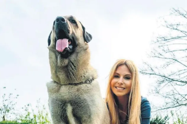 Anneka Svenska Sivas’a gelip Kangallar’ı çekt