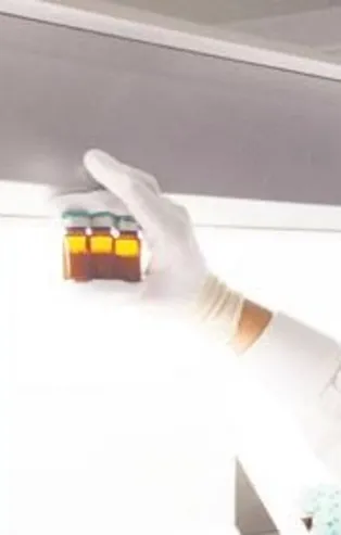 Fransa’da grip katliamı