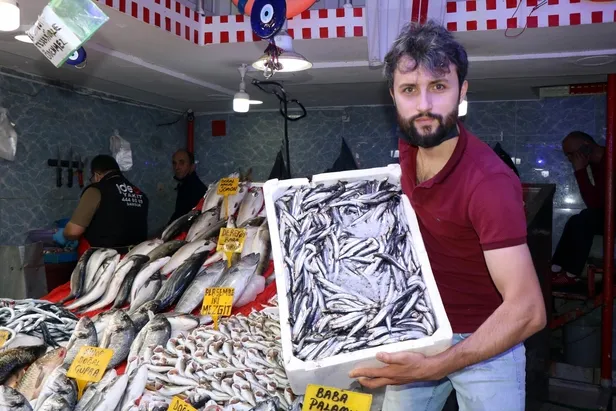 Balıkçılar müjdeyi verdi: Karadeniz efsanesi ‘hamsi’ yüzünü göstermeye başladı-4