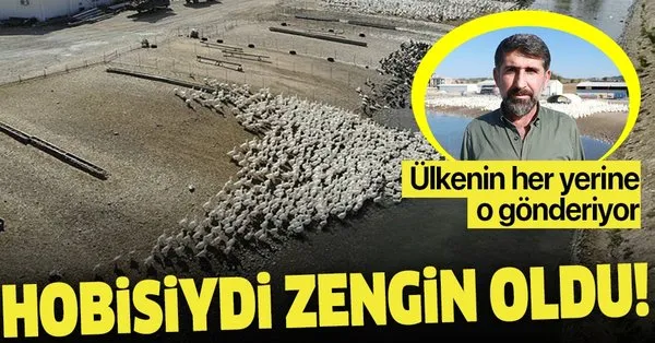 Adana'da hobi olarak kaz yetiştiriciliği yapan Eser Aydoğdu şimdi