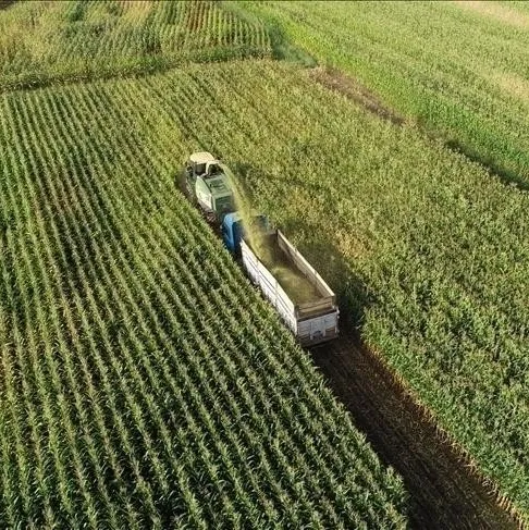 Tarım sayım seferberliği