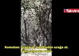 Teröristin yakalanma anı kamerada