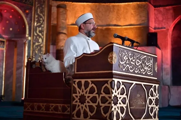 Diyanet İşleri Başkanı Ali Erbaş'ın Ayasofya Camii’nde katıldığı 'Regaib Kandili Özel' programında 'kedi' detayı