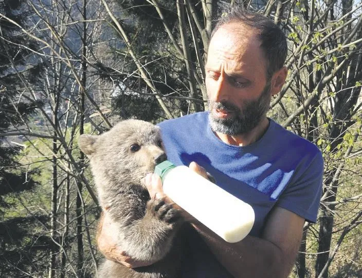 Ayı Yogi!