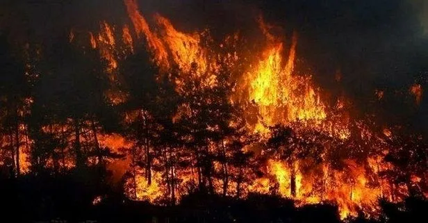Bir yangın da Samsun’da! 7 hektarlık alan zarar gördü