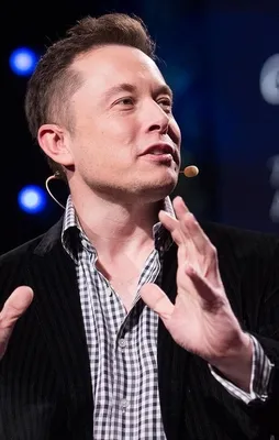 Elon oğlu yapıyor!