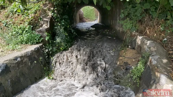 Kocaeli Dilovası'nda kömür tozları dereye aktı! İzmit Körfezi simsiyah oldu - 6
