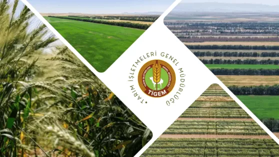 TİGEM 254 sürekli işçi alımı İŞKUR başvuru ekranı 2025: Hangi kadrolara alım yapılacak?