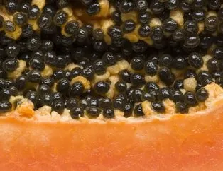Meleklerin meyvesi denen papaya nedir? Papayanın faydaları nelerdir?