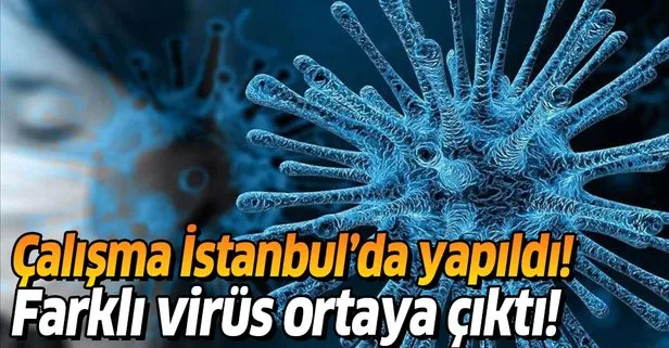 Çalışma İstanbul’da yapıldı! Farklı virüs endişesi ortaya çıktı!