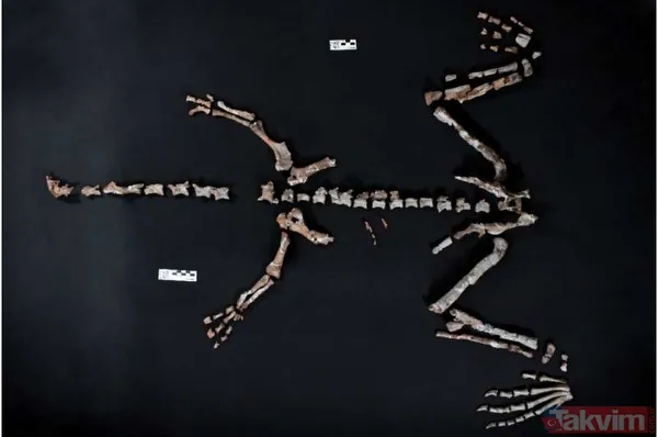 230 milyon yıldır oradaydı! Meğer evrenin en eski... - 2