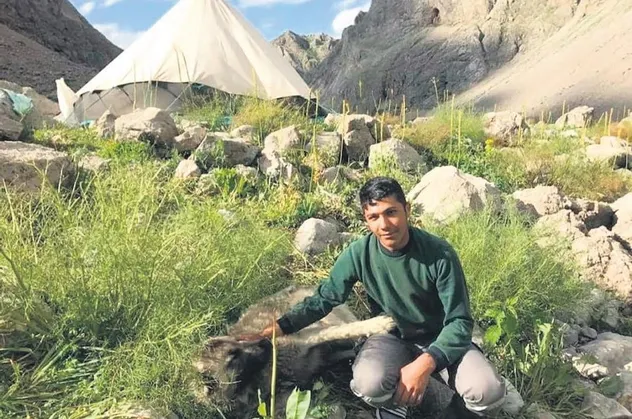 Merdan Uyar çobanlık yaparken hazırlandığı üniversite sınavında tıp fakültesini kazandı
