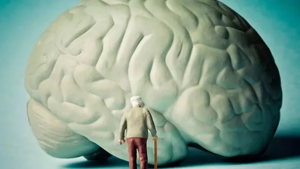 demans-hastaligi-nedir-belirtileri-neler-pakize-sudanin-hastaligi-oldurucu-mu-tedavisi-var-mi-demans-ve-alzhei-1671626235928.jpeg Demans hastalığı nedir, belirtileri neler? Pakize Suda'nın hastalığı öldürücü mü, tedavisi var mı? Demans ve Alzheimer farkı ne?-4