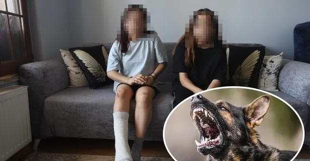Hatay’da başıboş köpek dehşeti: Markete giden iki kız kardeşten biri yaralandı, diğeri travma geçirdi