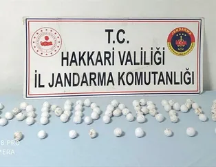 Hakkari’de uyuşturucu ve kaçak sigara ele geçirildi