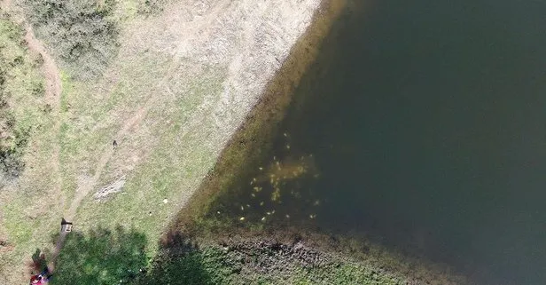 SON DAKİKA: Alibeyköy Barajı’nda korkutan balık ölümleri: Hiç böyle bir şey ile karşılaşmadık