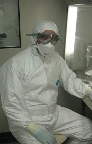 Koronavirüs salgını sonrası panik yaratmıştı! Hantavirüs insandan insana...