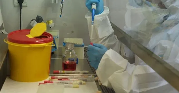 Korona Test Sonucu Kac Gunde Cikar Korona Test Sonuclari Nasil Ogrenilir Takvim