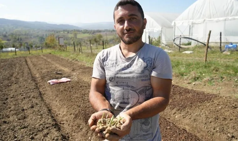 cocukken-yaylada-gorup-bahcesine-ekmisti-simdi-1-donumden-200000-tl-kazaniyor-1730800846876.jpg (Takvim Foto Arşiv)