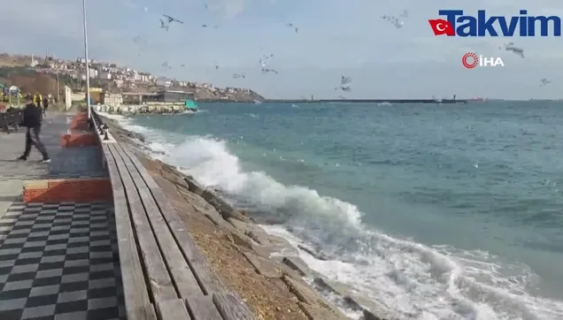 Marmara Denizi'nde ulaşıma lodos engeli