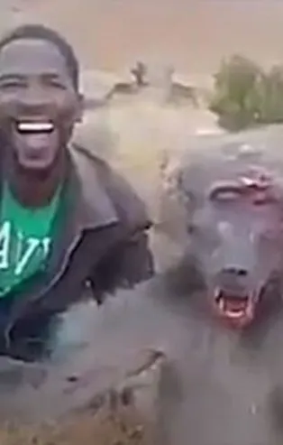 Zalim avcı ülkeyi ayağa kaldırdı