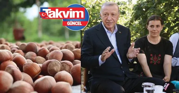Başkan Erdoğan açıkladı! 30 Temmuz 2022 Fındık fiyatları ne kadar oldu? Güncel fındık fiyatları belli oldu!